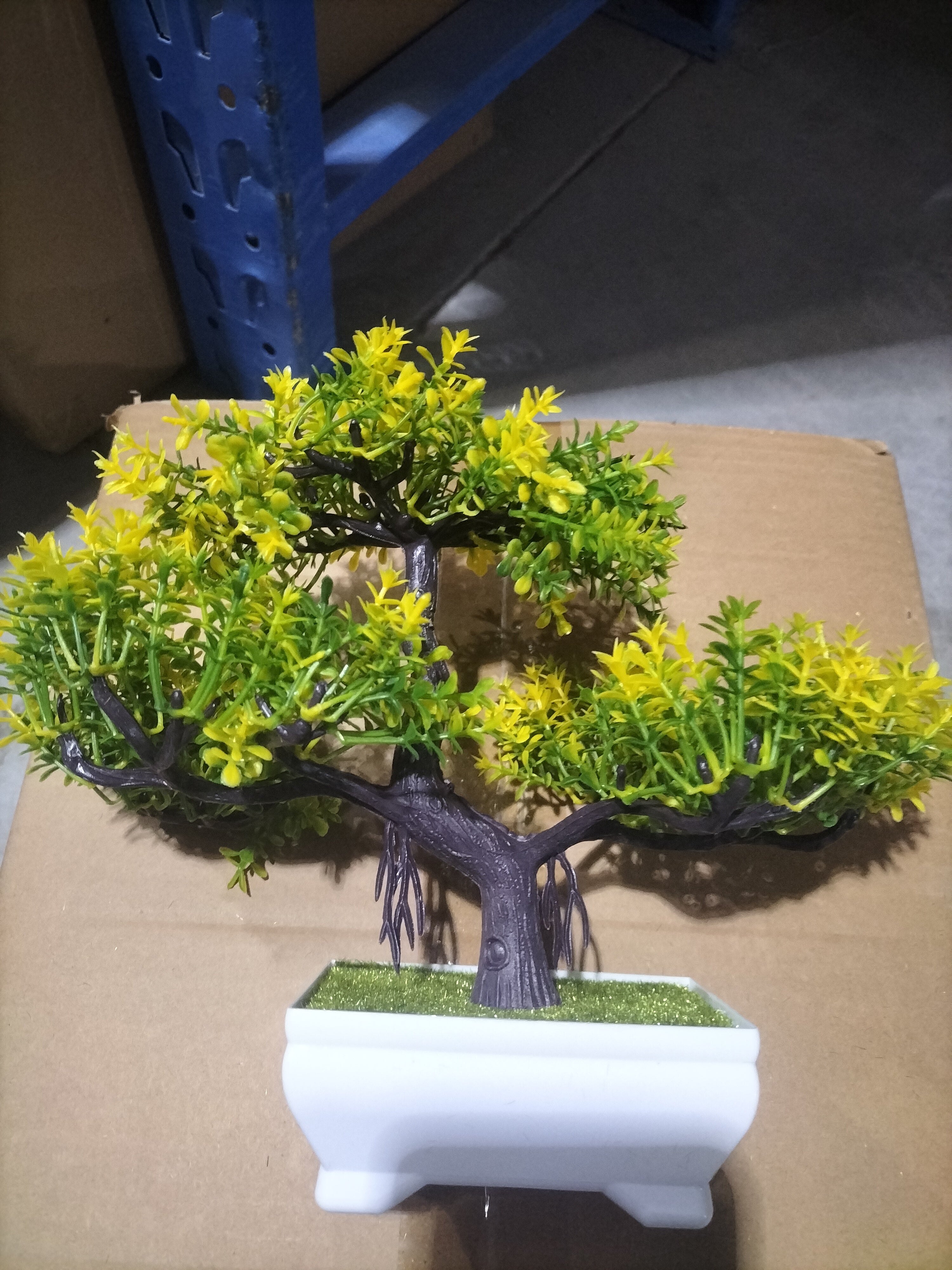 Bonsai potted plants