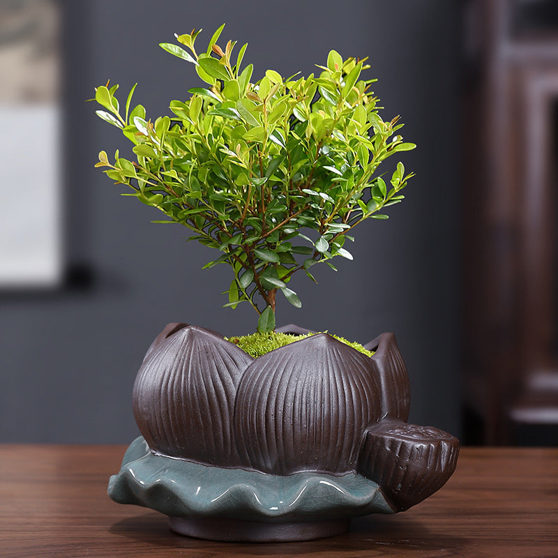 Ceramic Zisha Orchid Planting Bonsai Living Room Bonsai Basin