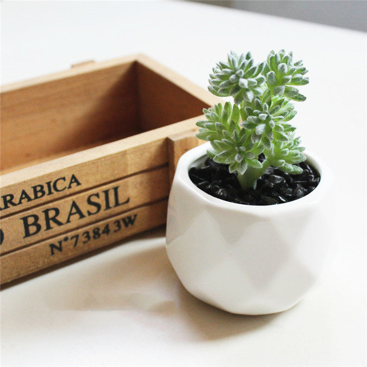 Artificial Succulent Bonsai Creative Ornaments for Home Table Garden Decoration Artificial Plants with Pot