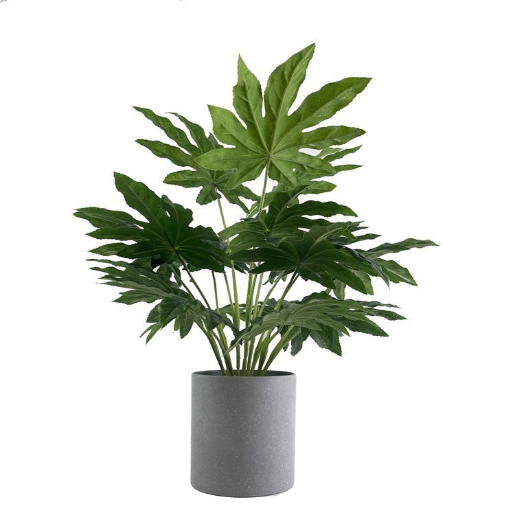 Emulational Greenery Bonsai Large Leaf Plant