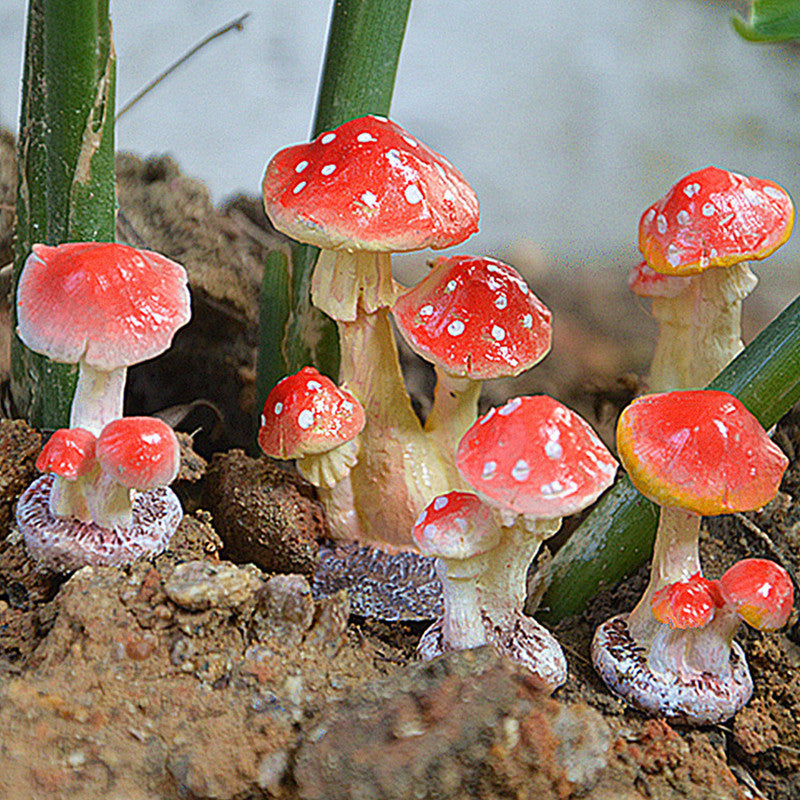Mini mushroom bonsai decorations