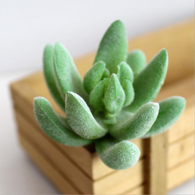 Flower-Arrangement-Accessories Plants Artificial DIY Red 39-Styles Flocking