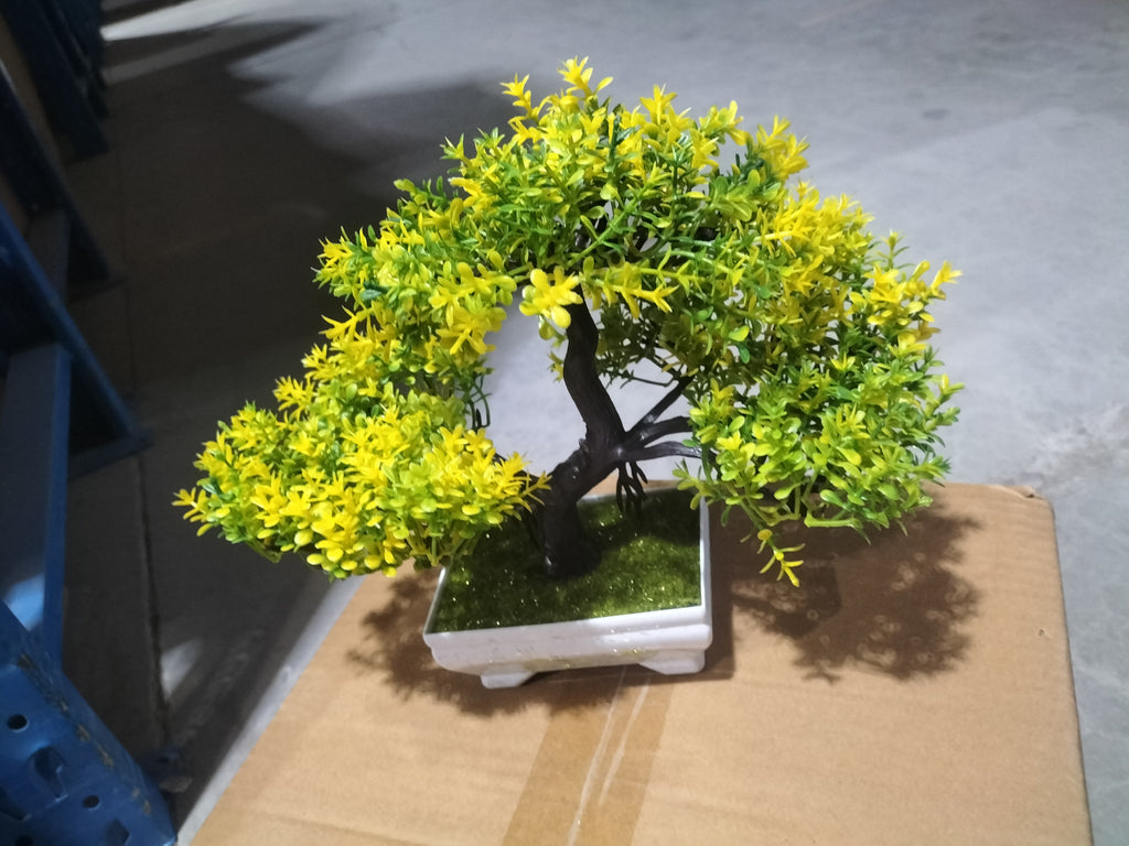 Bonsai potted plants