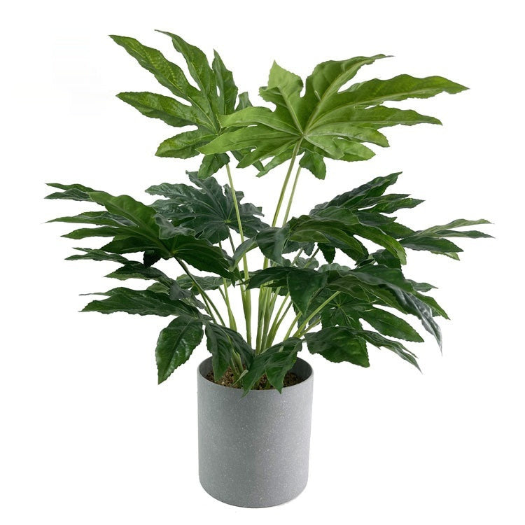 Emulational Greenery Bonsai Large Leaf Plant