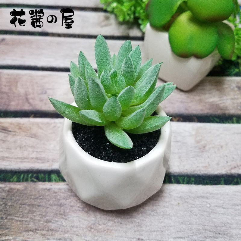 Artificial Succulent Bonsai Creative Ornaments for Home Table Garden Decoration Artificial Plants with Pot