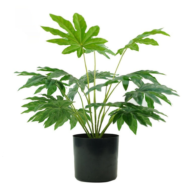 Emulational Greenery Bonsai Large Leaf Plant