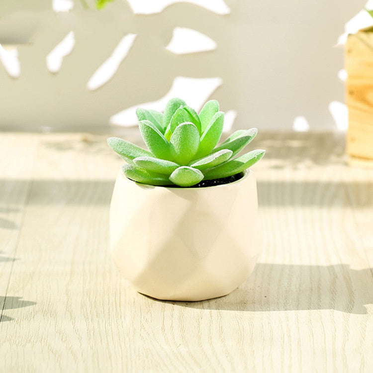 Artificial Succulent Bonsai Creative Ornaments for Home Table Garden Decoration Artificial Plants with Pot